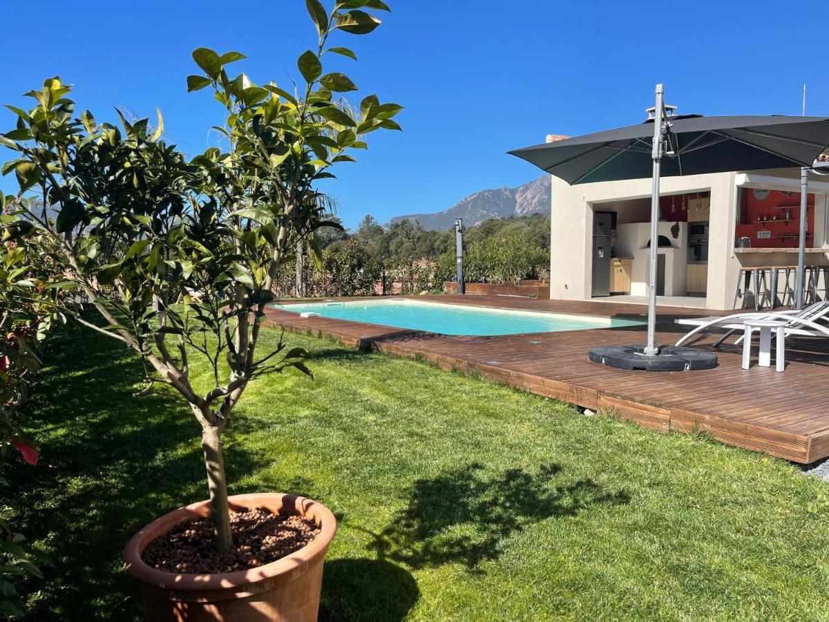 Magnifique Villa Recente Entre Mer Et Montagne Situee Entre Ajaccio Et Porticcio Cauro Eksteriør bilde